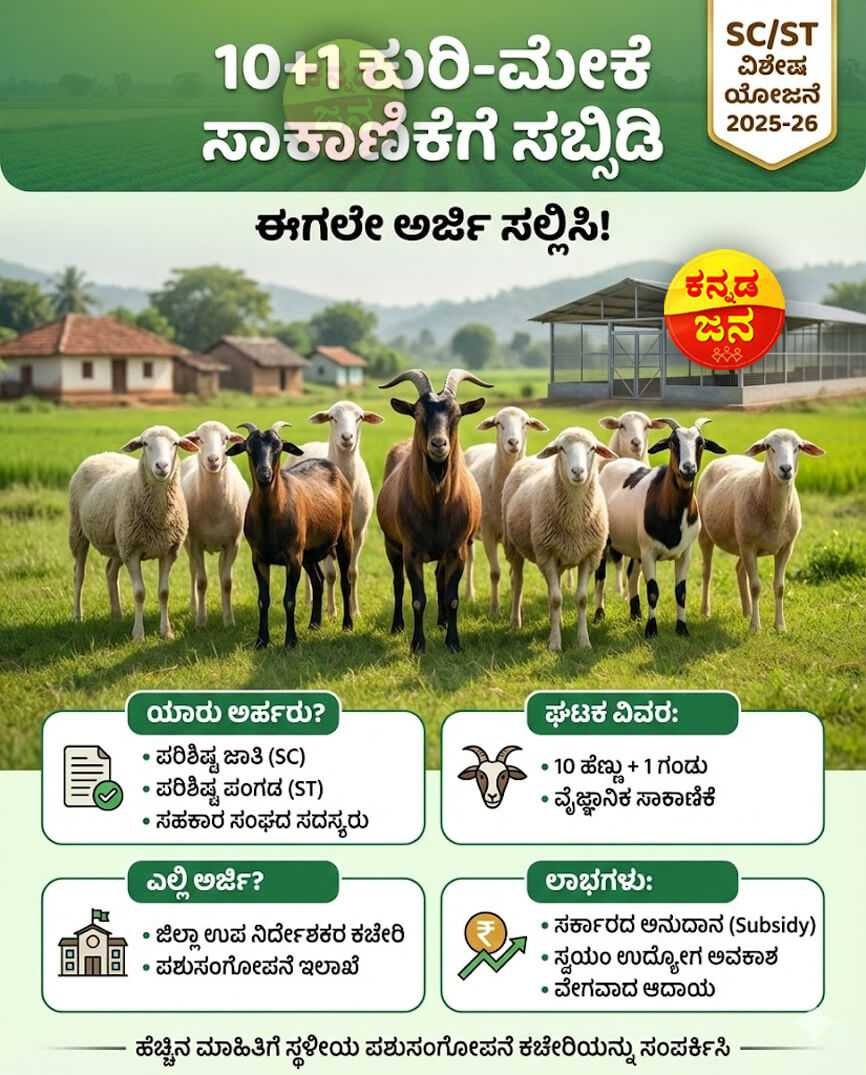 10+1 Kuri Meke Ghataka